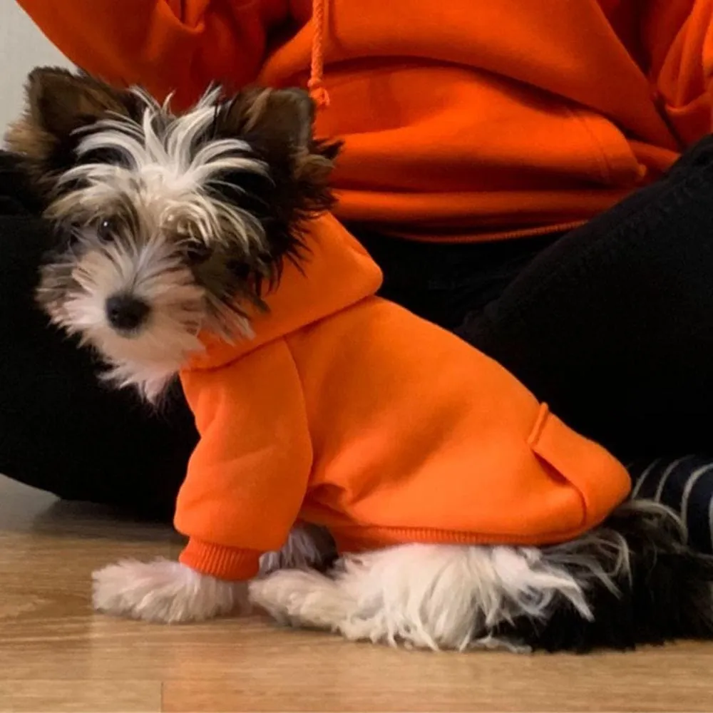 Trendy Dog Comfort Hoodies