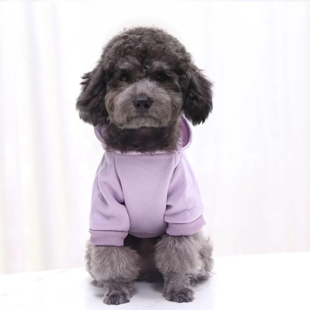 Trendy Dog Comfort Hoodies