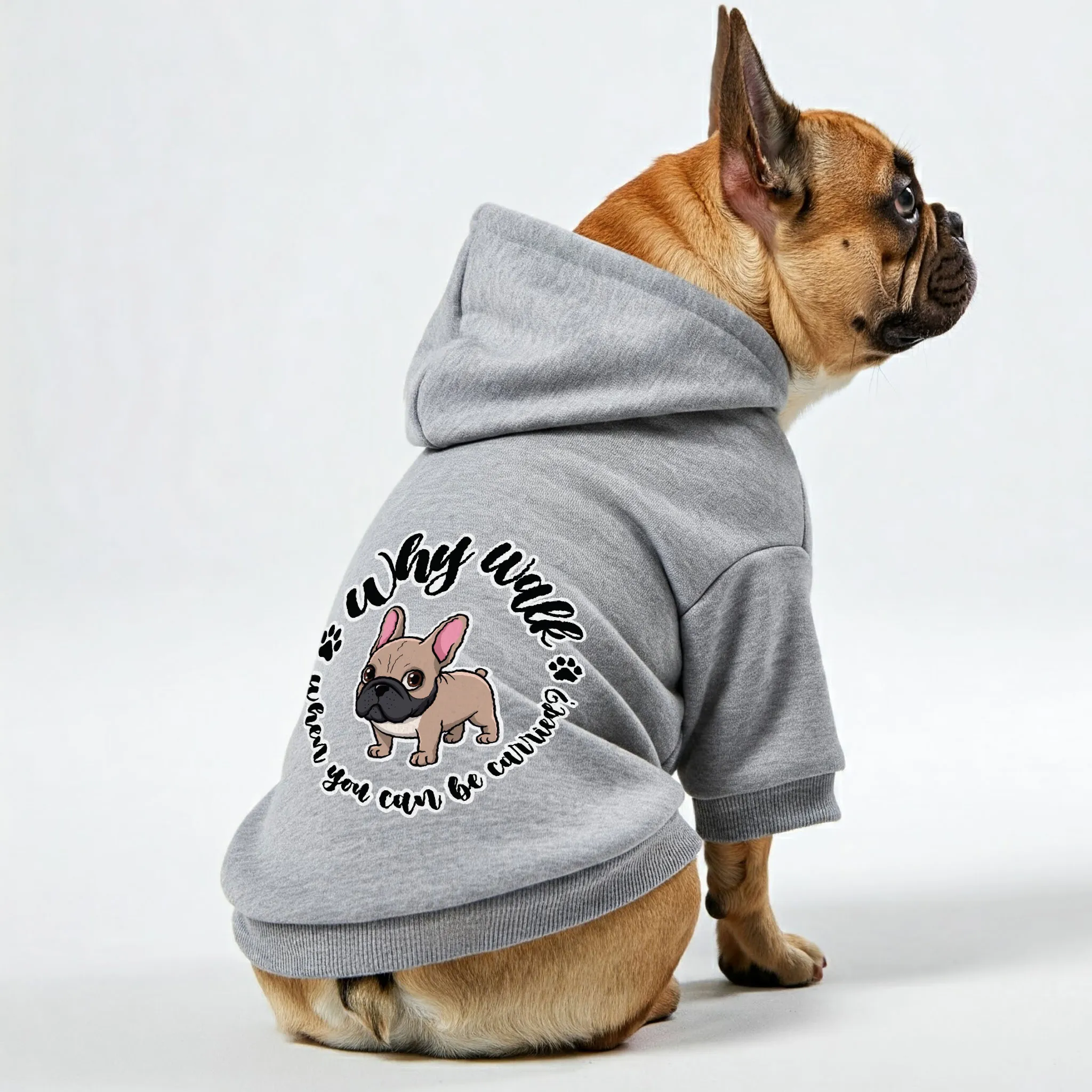 Why walk when you can be carried?  - Personalized French Bulldog Hoodies with Funny Quotes – Stylish, Cozy, and Premium 100% Cotton